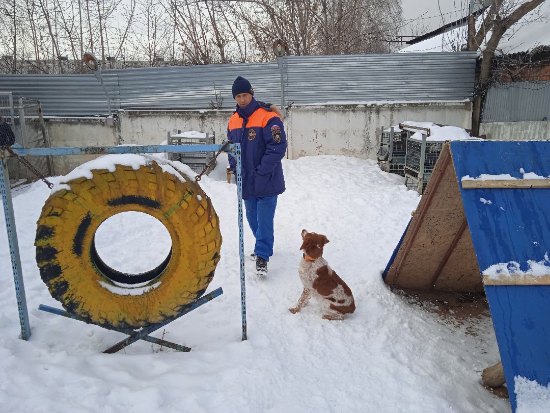 Центроспас, кинологи, собаки, спасатели, овчарки
