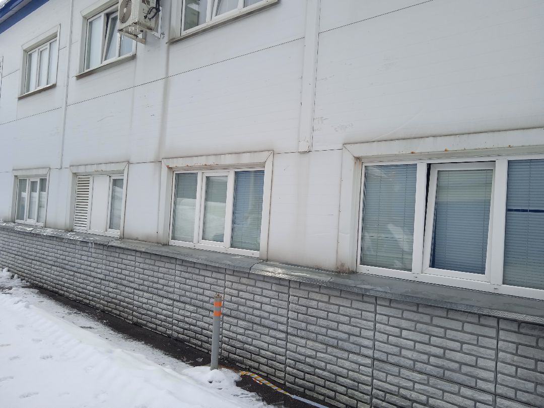 Центроспас, кинологи, собаки, спасатели, овчарки