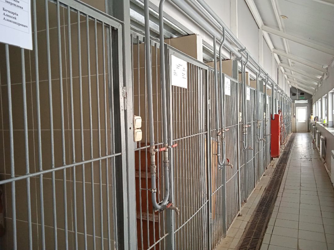 Центроспас, кинологи, собаки, спасатели, овчарки