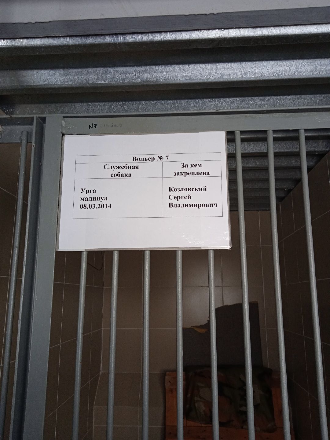 Центроспас, кинологи, собаки, спасатели, овчарки