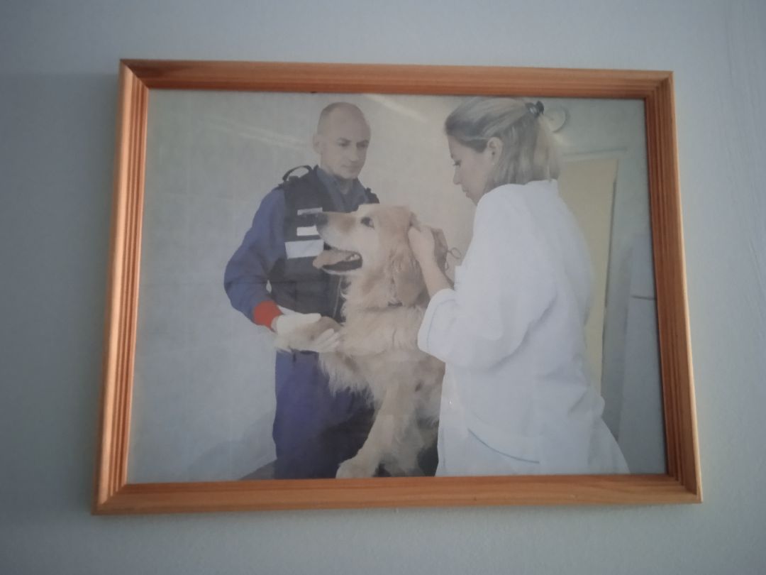 Центроспас, кинологи, собаки, спасатели, овчарки