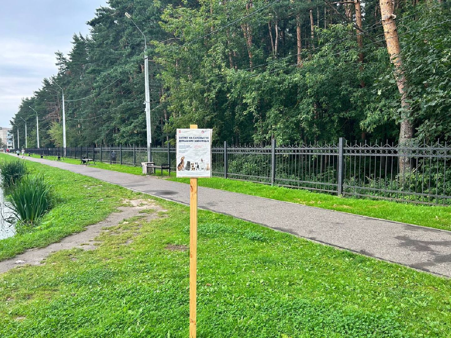 Новость, МЧС, отдых на воде, лето, безопасность