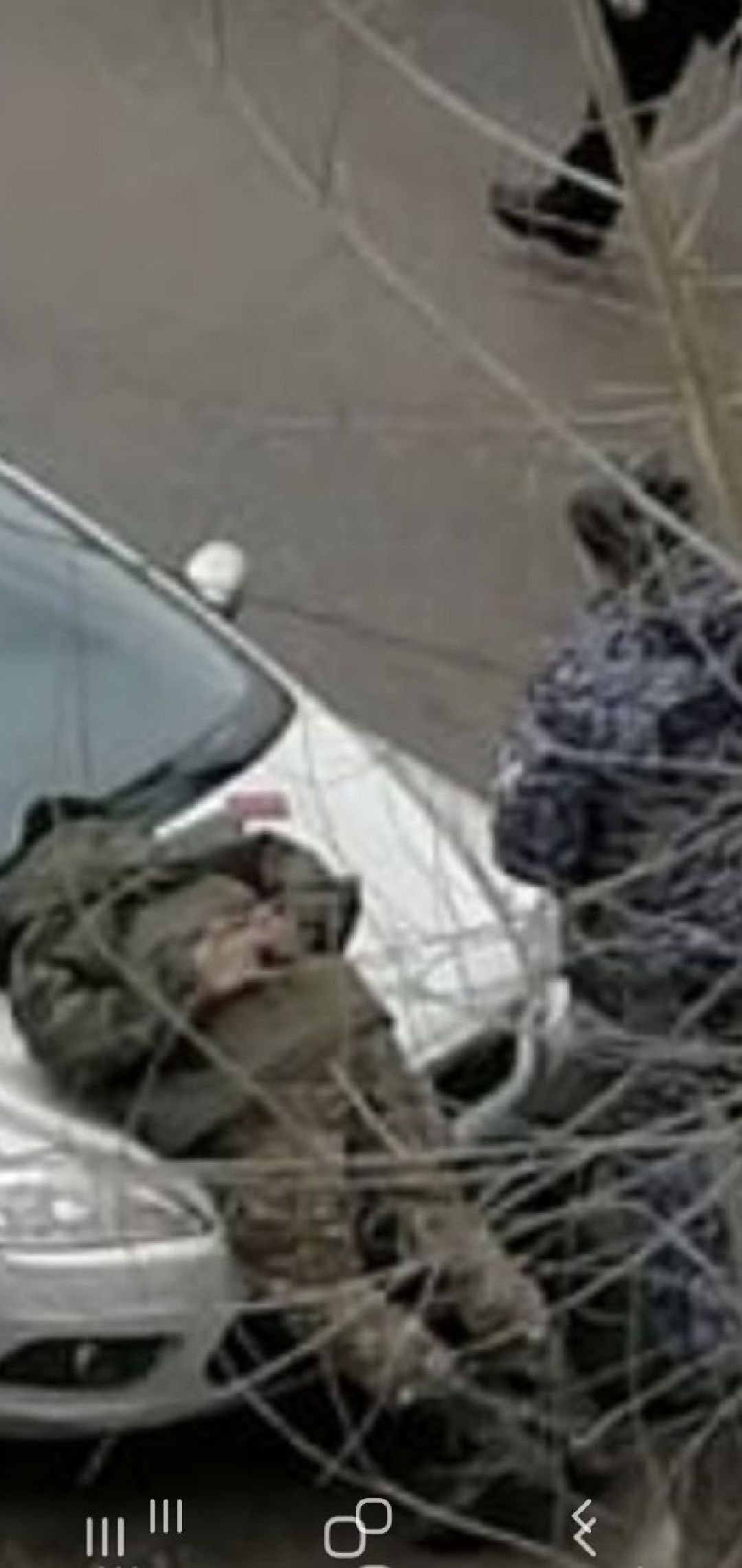 Росгвардия, ЧП, военкомат