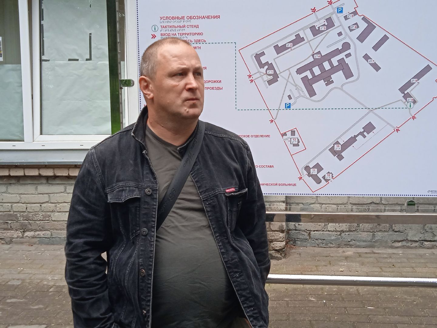 птичий, грипп, вирус, птицы, голуби, чайки, H5