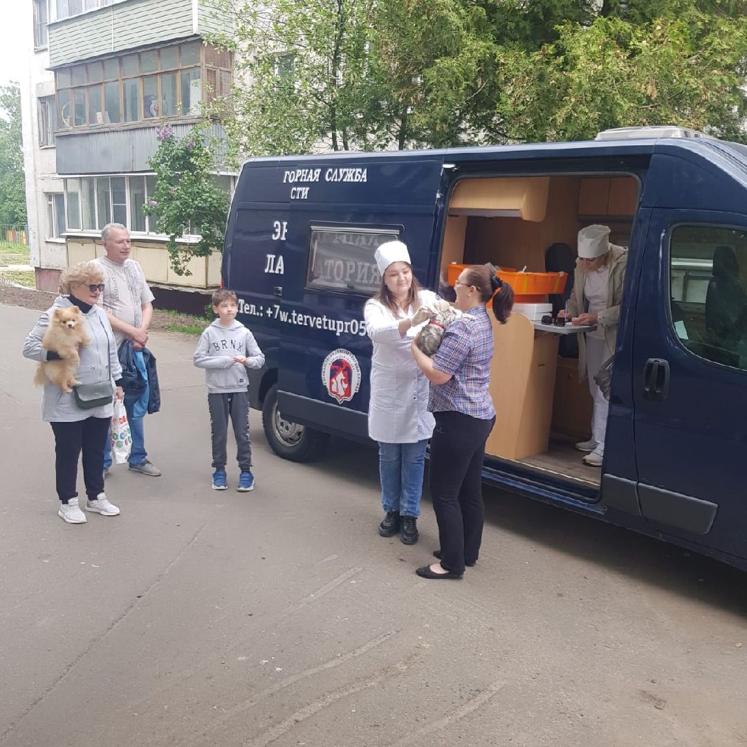 Кашира, бешенство, Сорокино, кошка, лиса