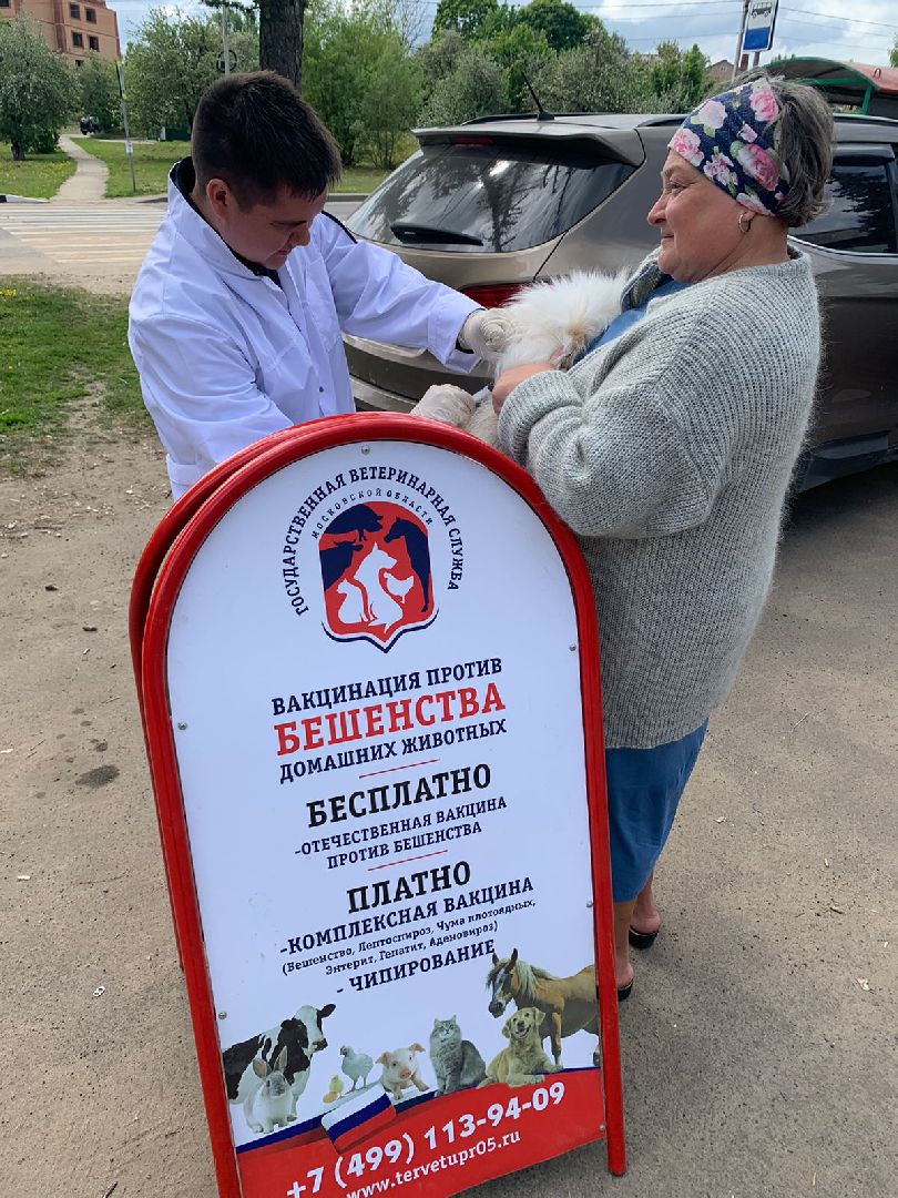 Кашира, бешенство, Сорокино, кошка, лиса