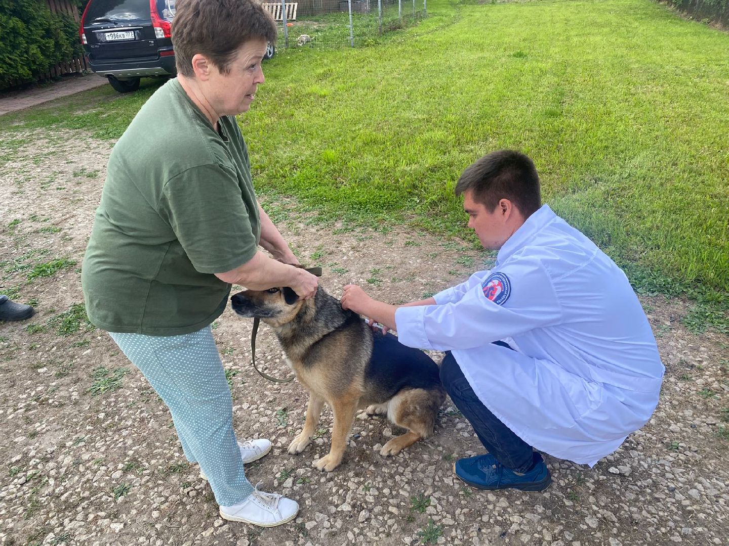 Кашира, бешенство, Сорокино, кошка, лиса