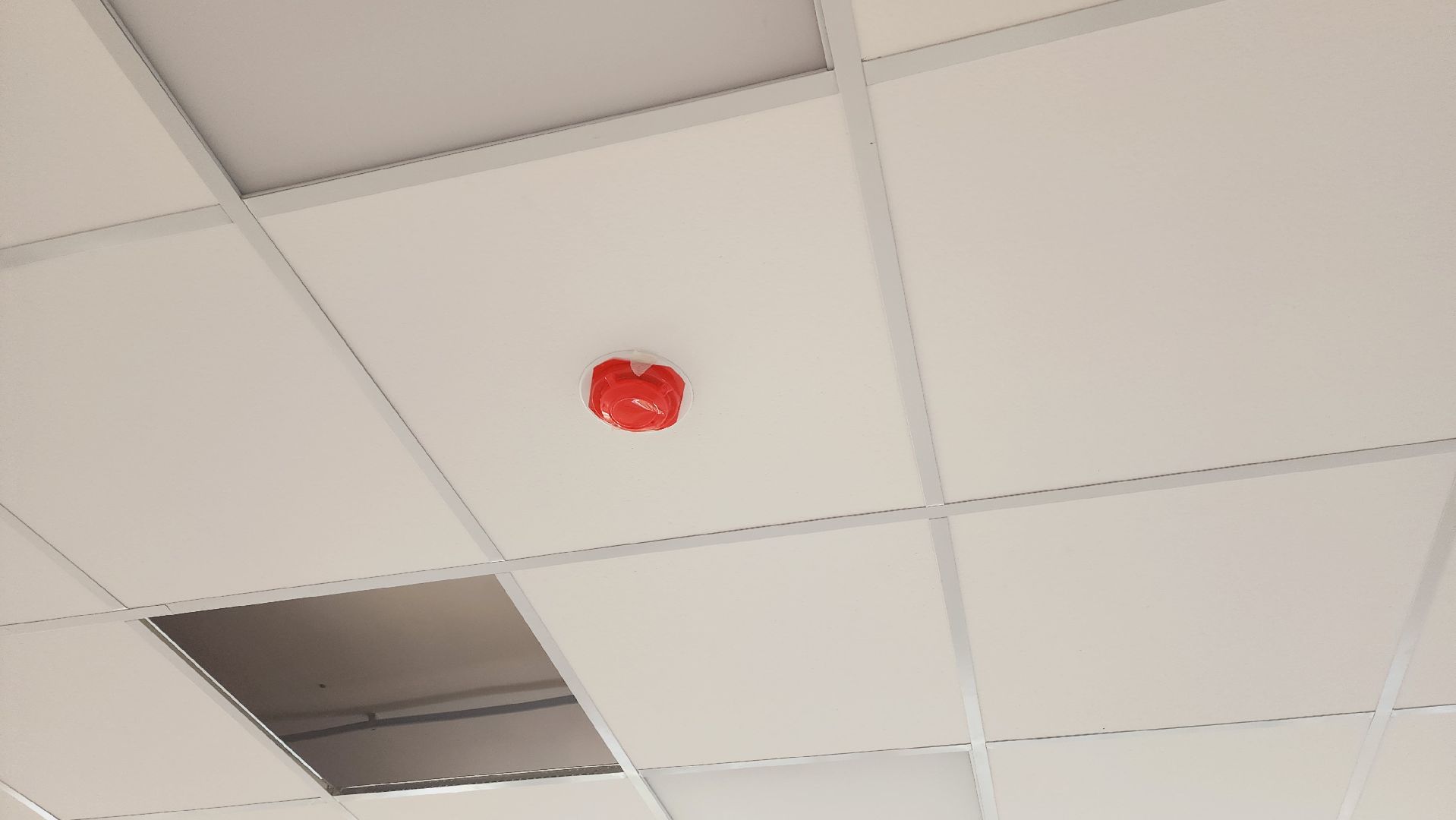 Подмосковье, Ивантеевка, образование