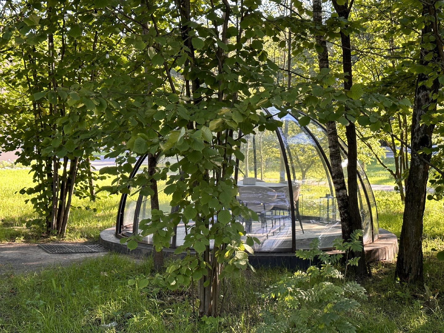 Одинцово, Малевич, Парки Подмосковья, Туризм, ресторан, рецепт, устрицы, художники, живописцы, гастротуризм