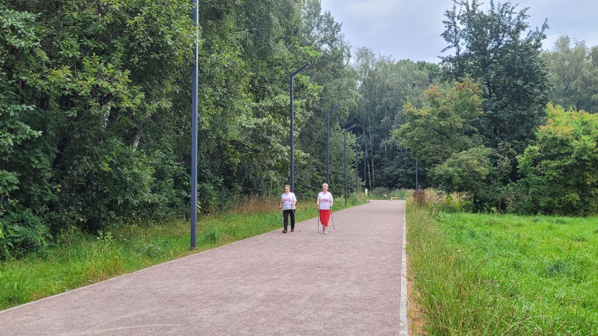 спорт; активное долголетие; физкультура; видное; апаринки