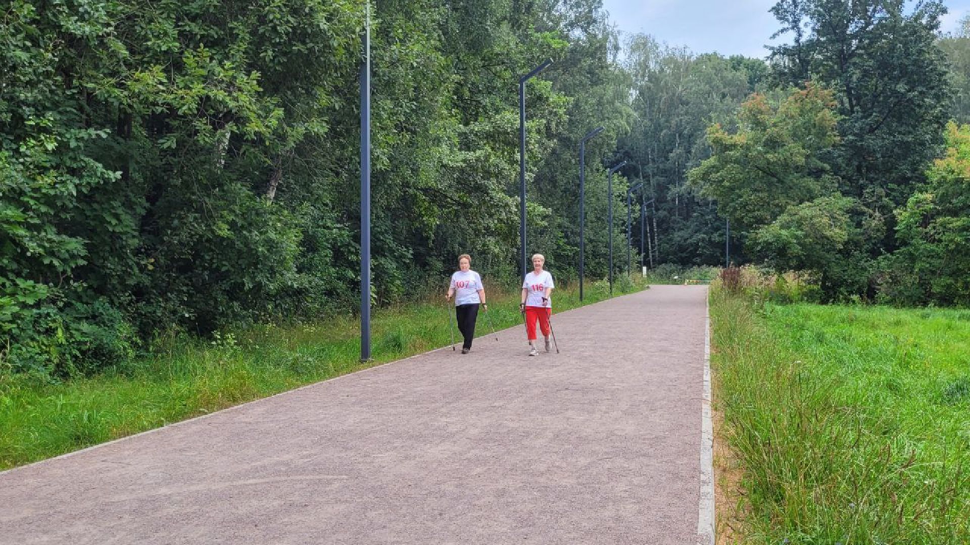 спорт; активное долголетие; физкультура; видное; апаринки