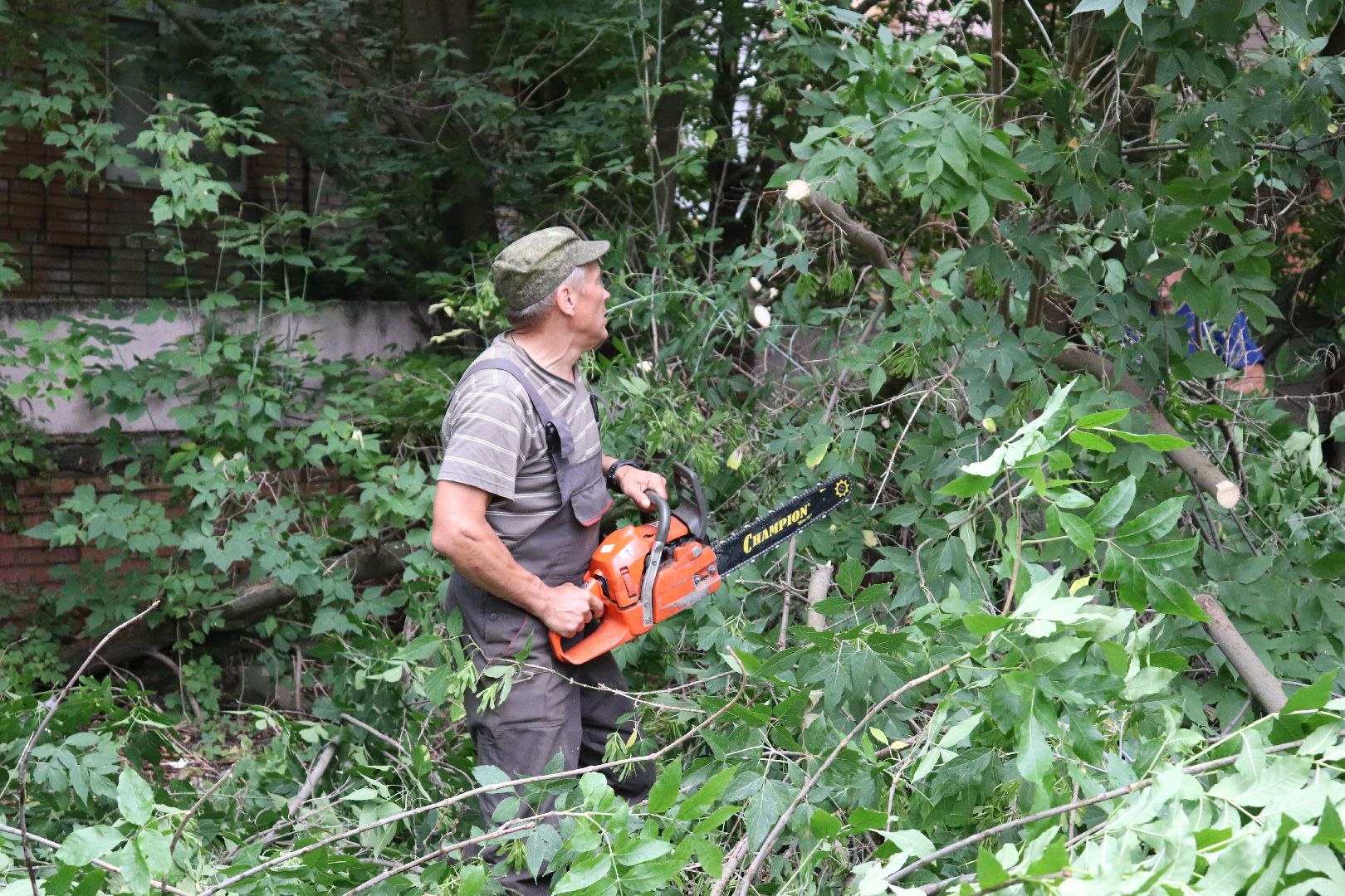 Клин, благоустройство, общество, подмосковье