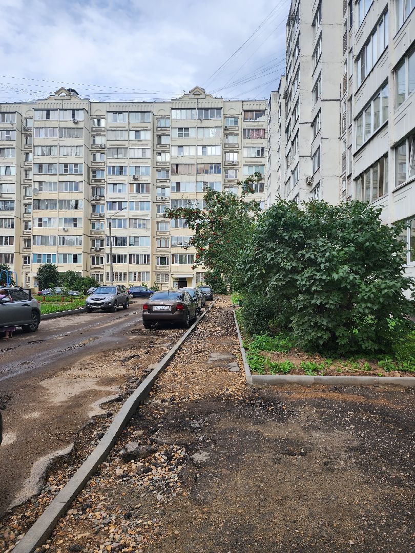 благоустройство дворов, благоустройство, жители, доброе дело, пушкино,