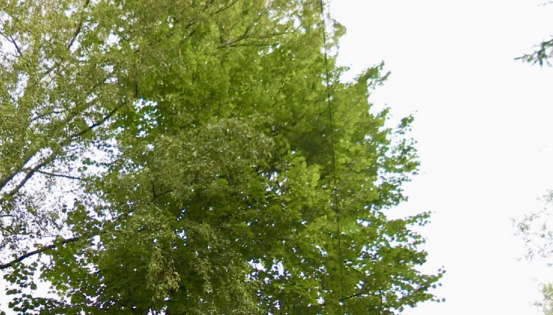 Клин, ЖКХ, общество, безопасность