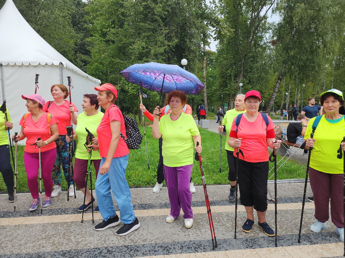 Кашира, День физкультурника, Городской парк, волейбол, баскетбол, шахматы, дартс