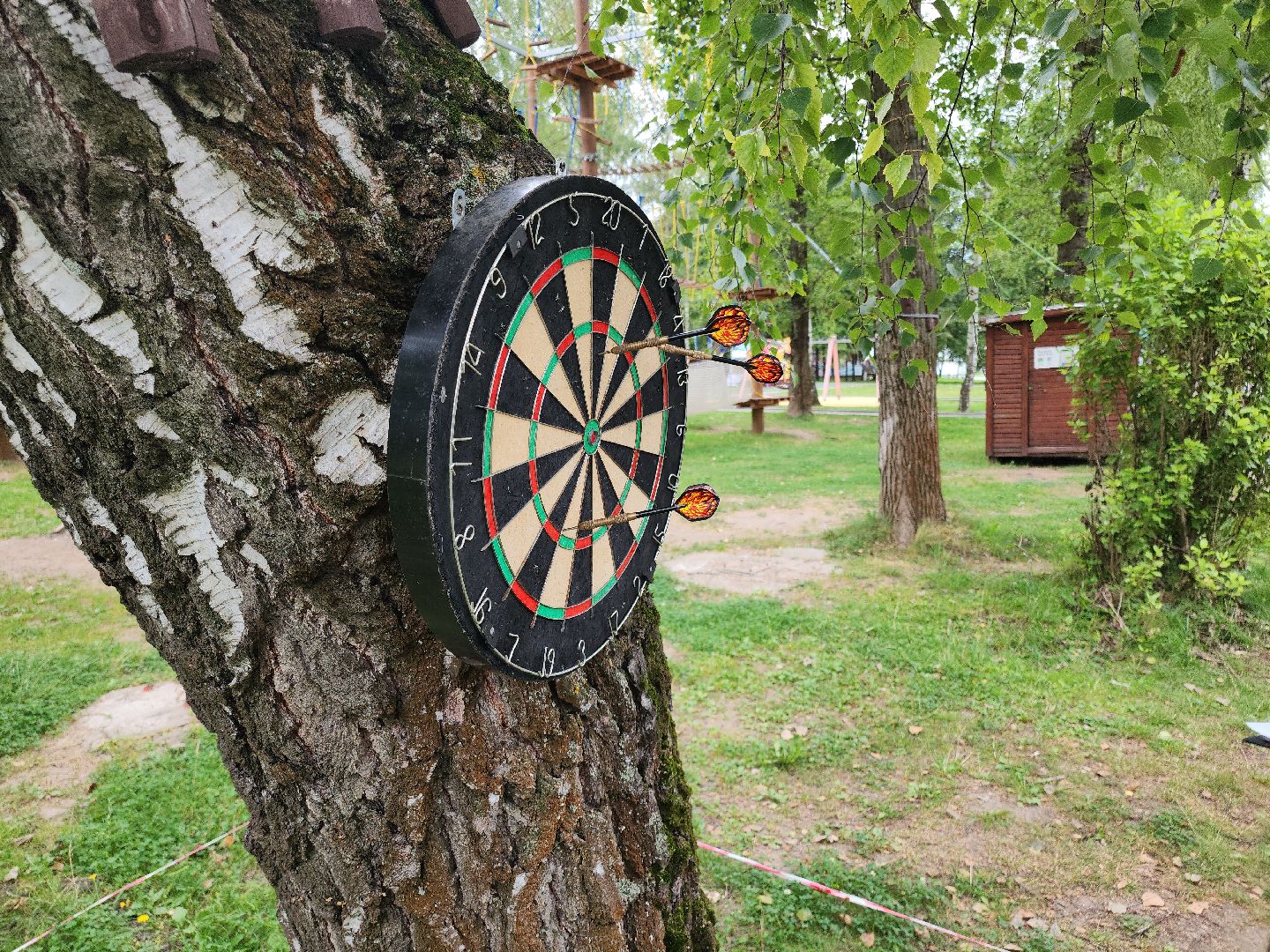 Кашира, День физкультурника, Городской парк, волейбол, баскетбол, шахматы, дартс