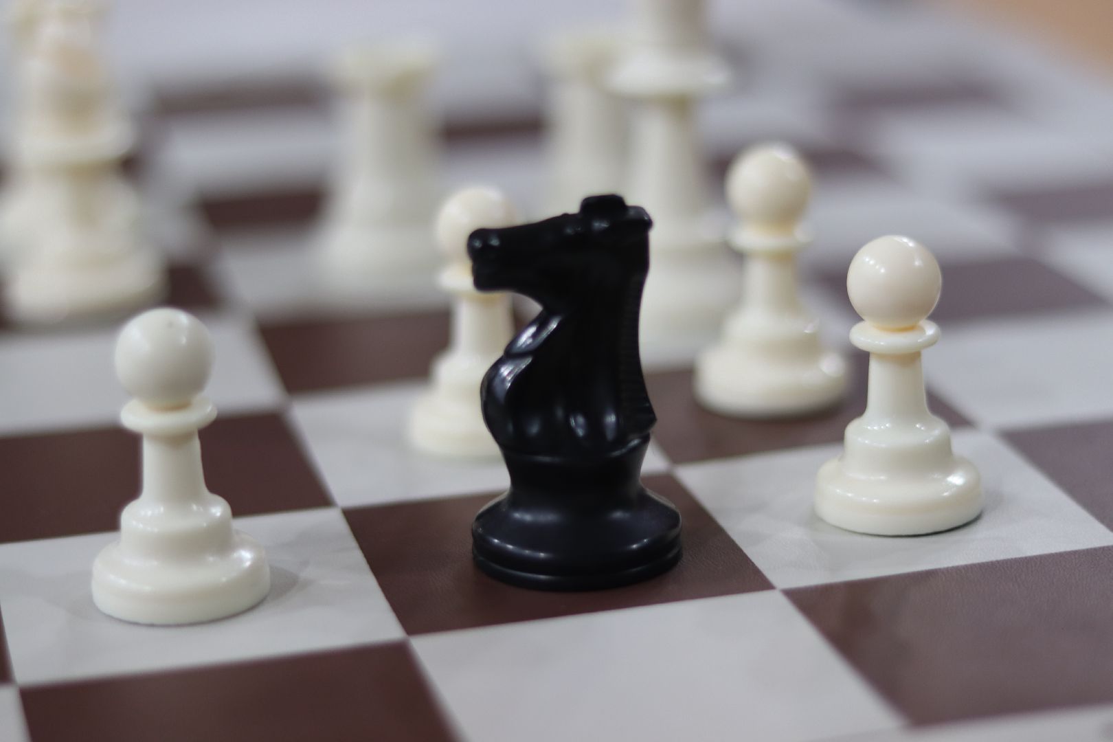 праздник, спорт, Фрязино