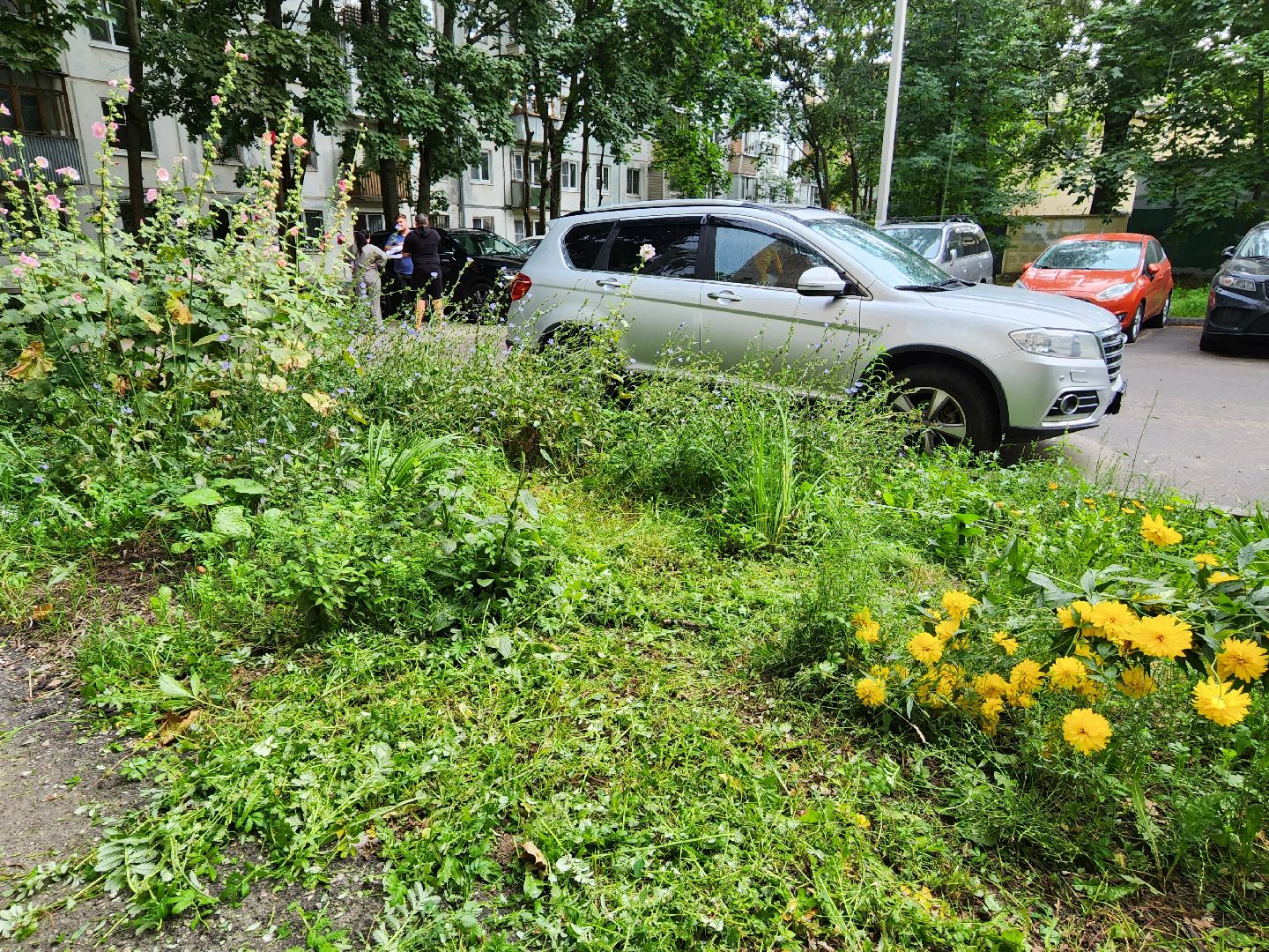 благоустройство, пушкино, доброе дело,