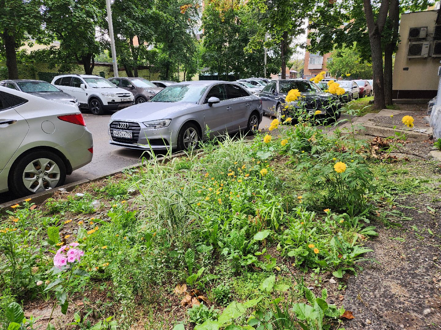 благоустройство, пушкино, доброе дело,