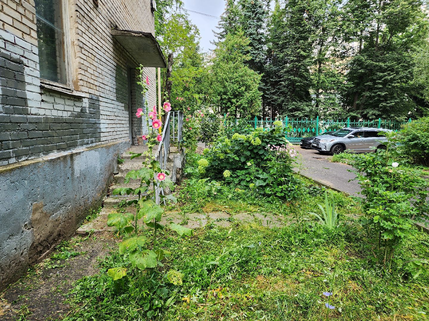 благоустройство, пушкино, доброе дело,