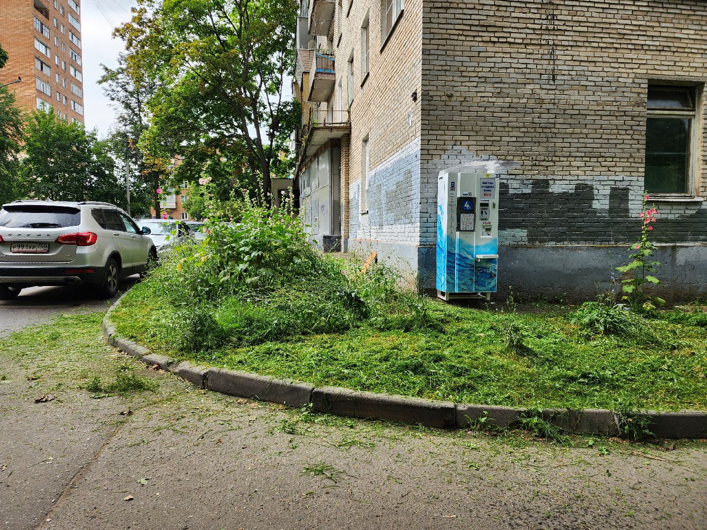 благоустройство, пушкино, доброе дело,