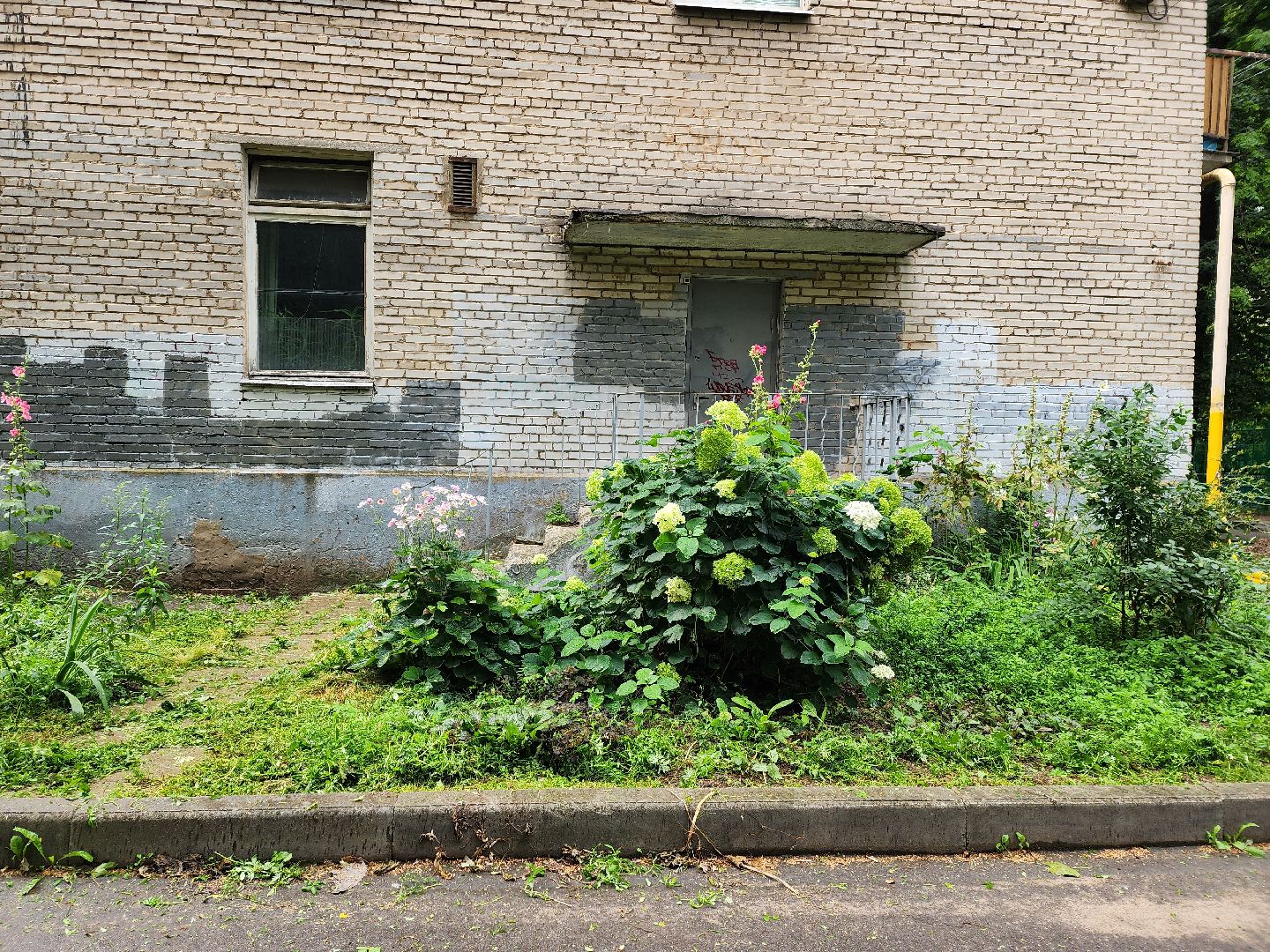 благоустройство, пушкино, доброе дело,