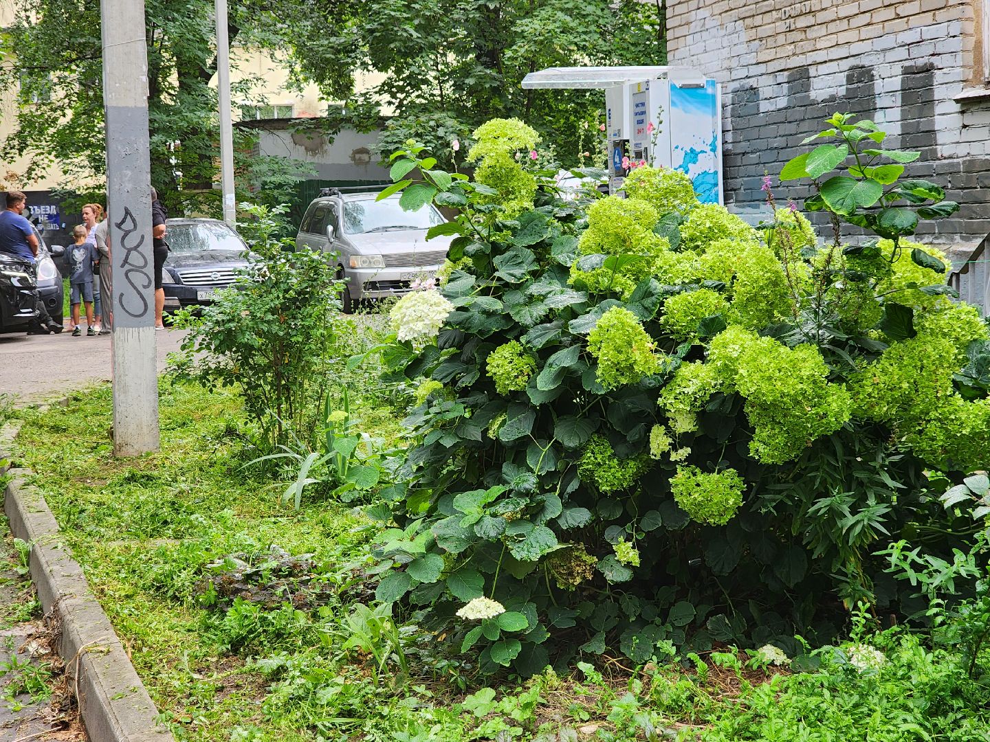 благоустройство, пушкино, доброе дело,