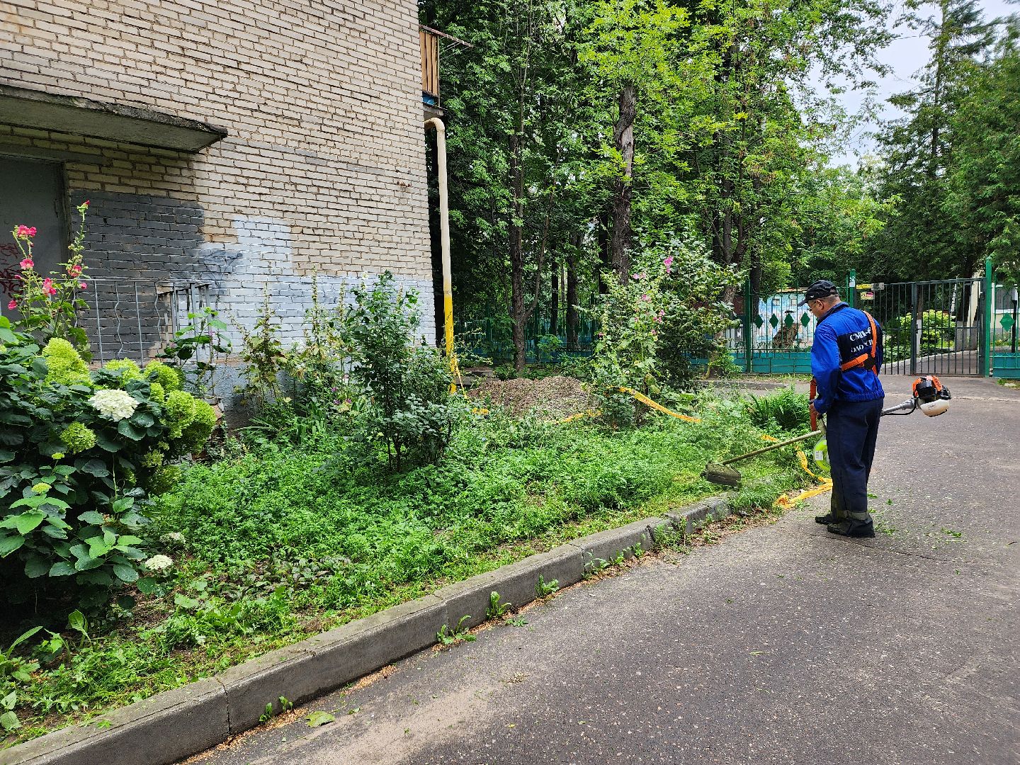 благоустройство, пушкино, доброе дело,