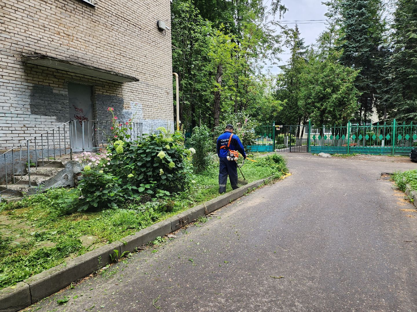 благоустройство, пушкино, доброе дело,