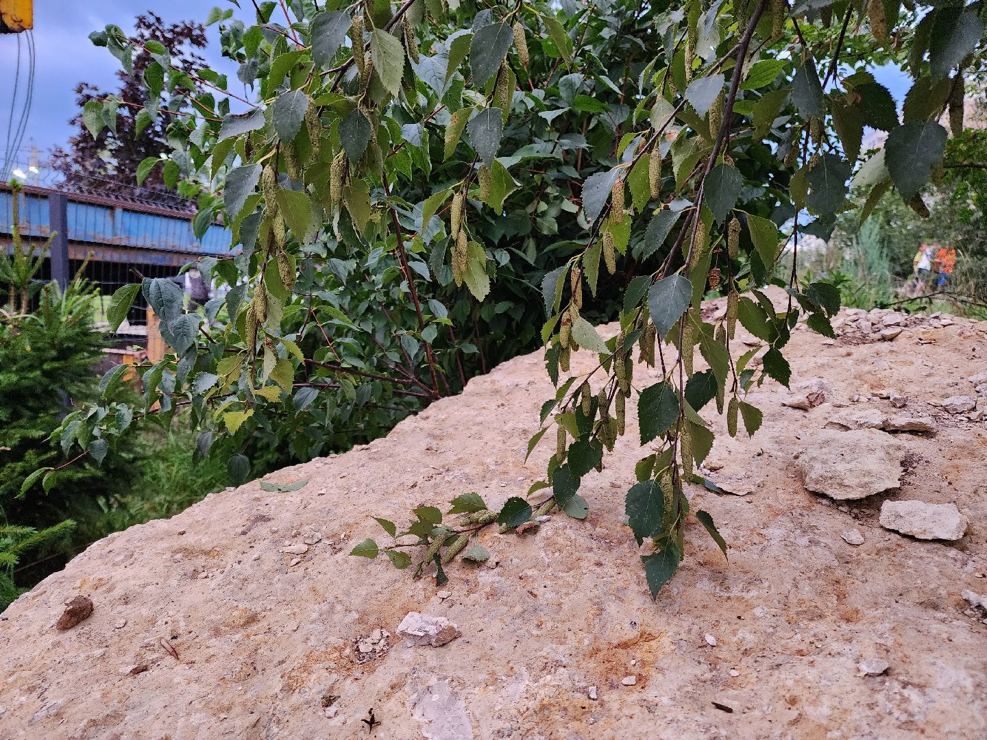 Подольск, сад камней, Родина, патриотизм, память