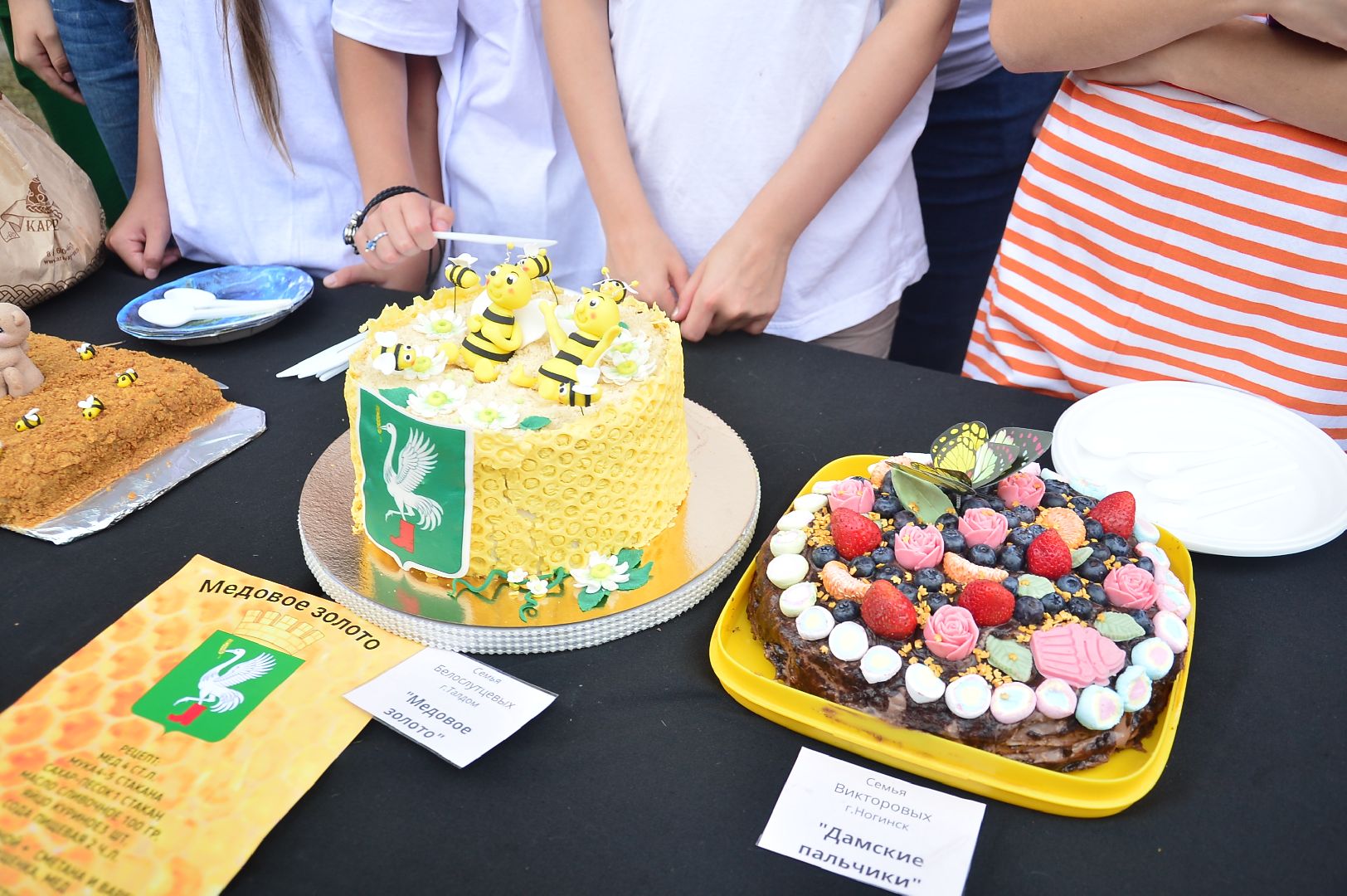 #БольшаяШатура#Изумрудный#МногодетнаяРоссия#форум