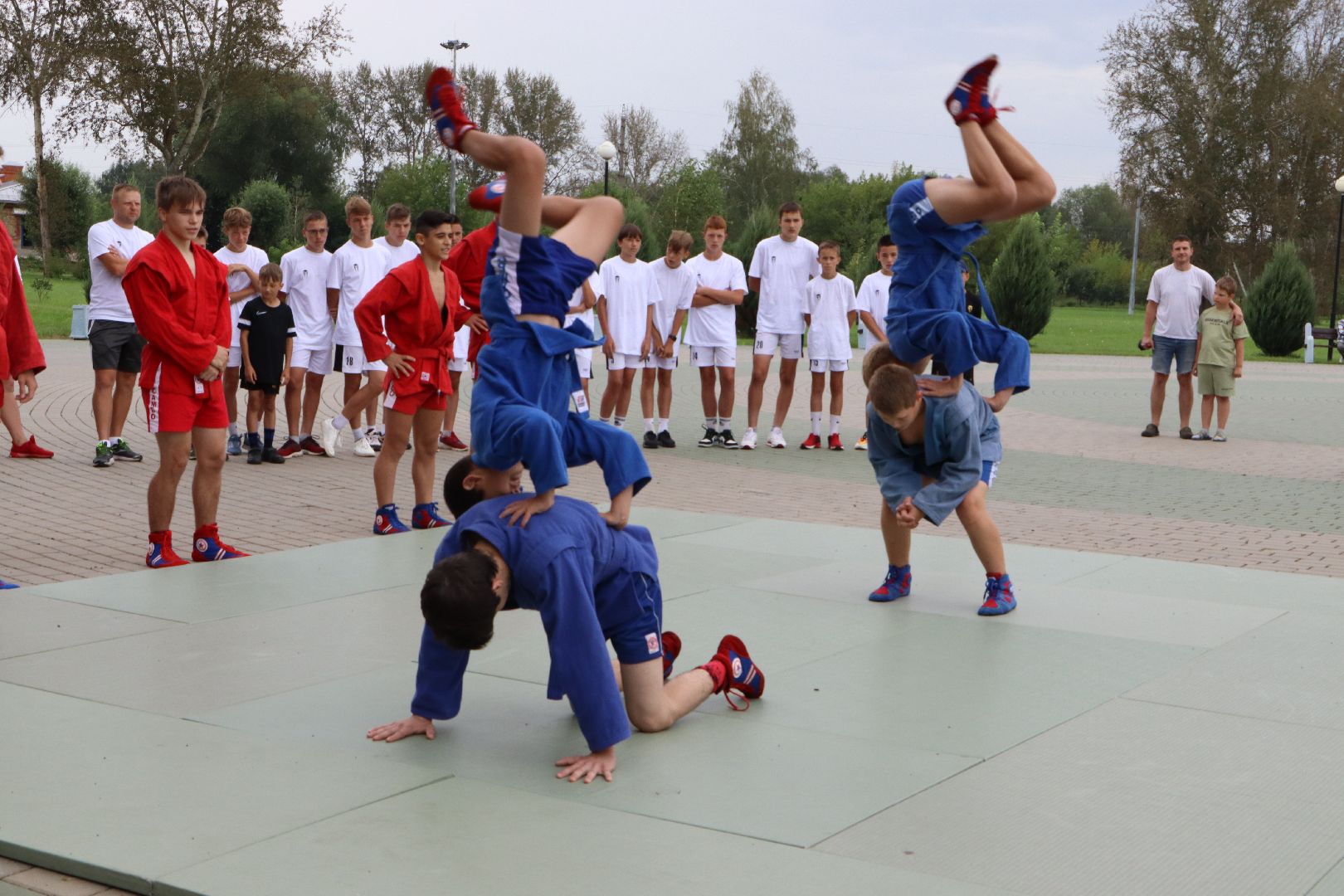 Серебряные Пруды, самбо в парке