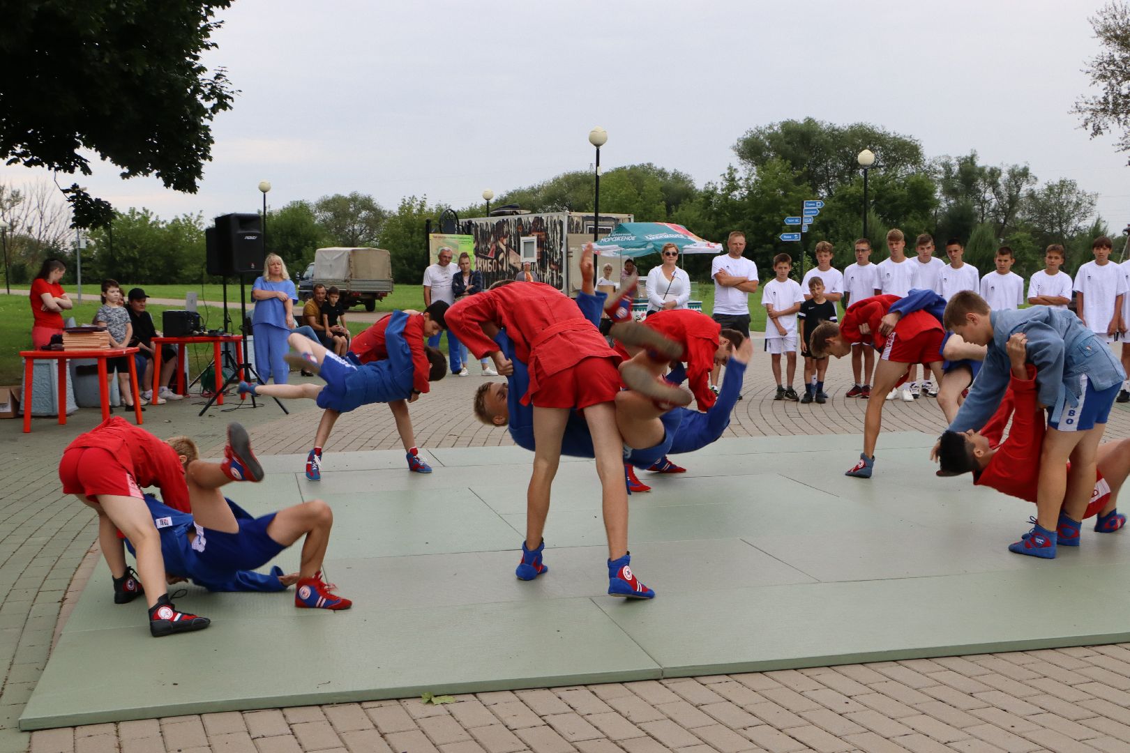 Серебряные Пруды, самбо в парке