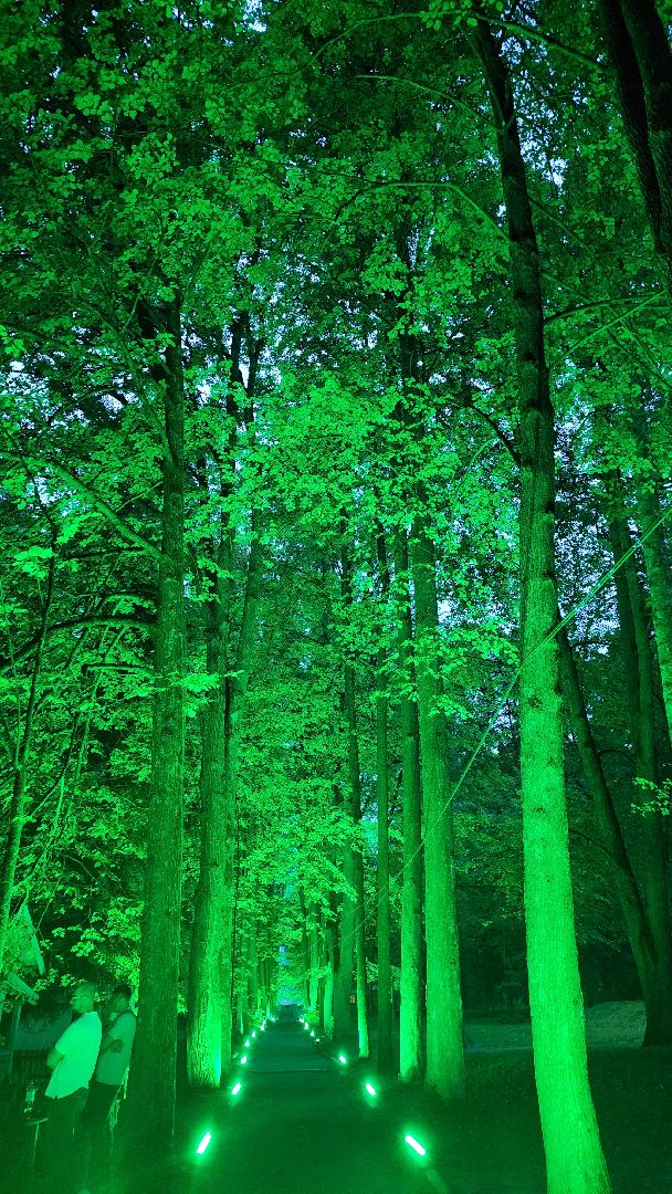 Пушкино, Мураново, Проект:Поэт, литература, поэзия, творчество, общество, культура, люди