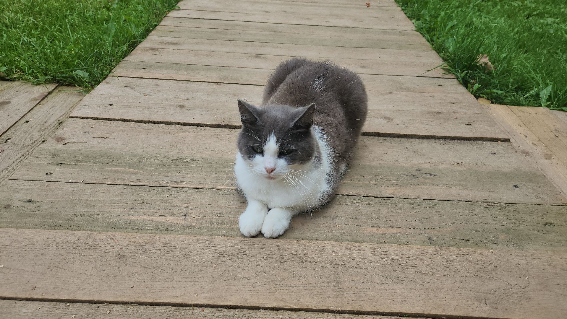 Пушкино, Мураново, Проект:Поэт, литература, поэзия, творчество, общество, культура, люди