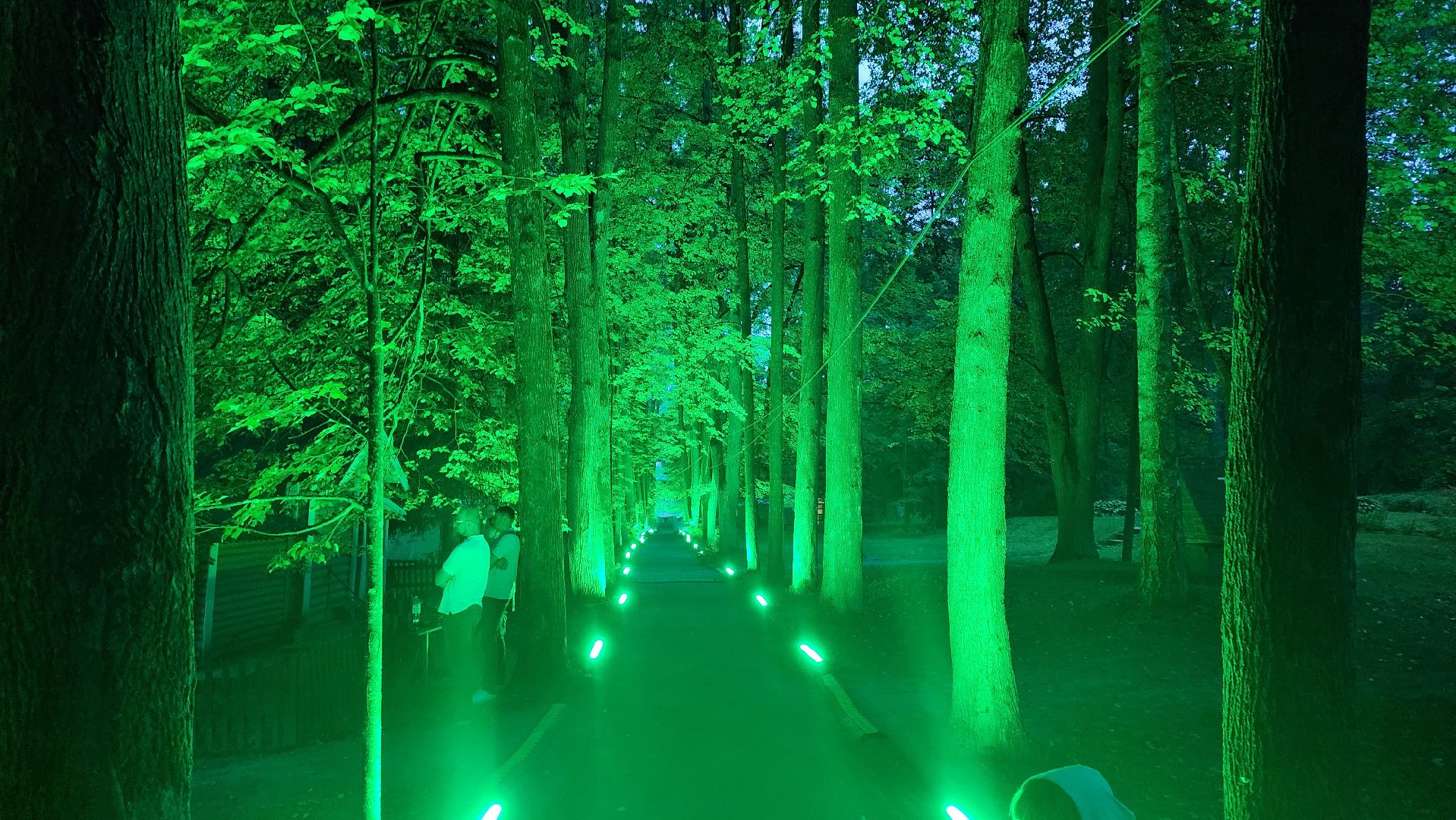 Пушкино, Мураново, Проект:Поэт, литература, поэзия, творчество, общество, культура, люди