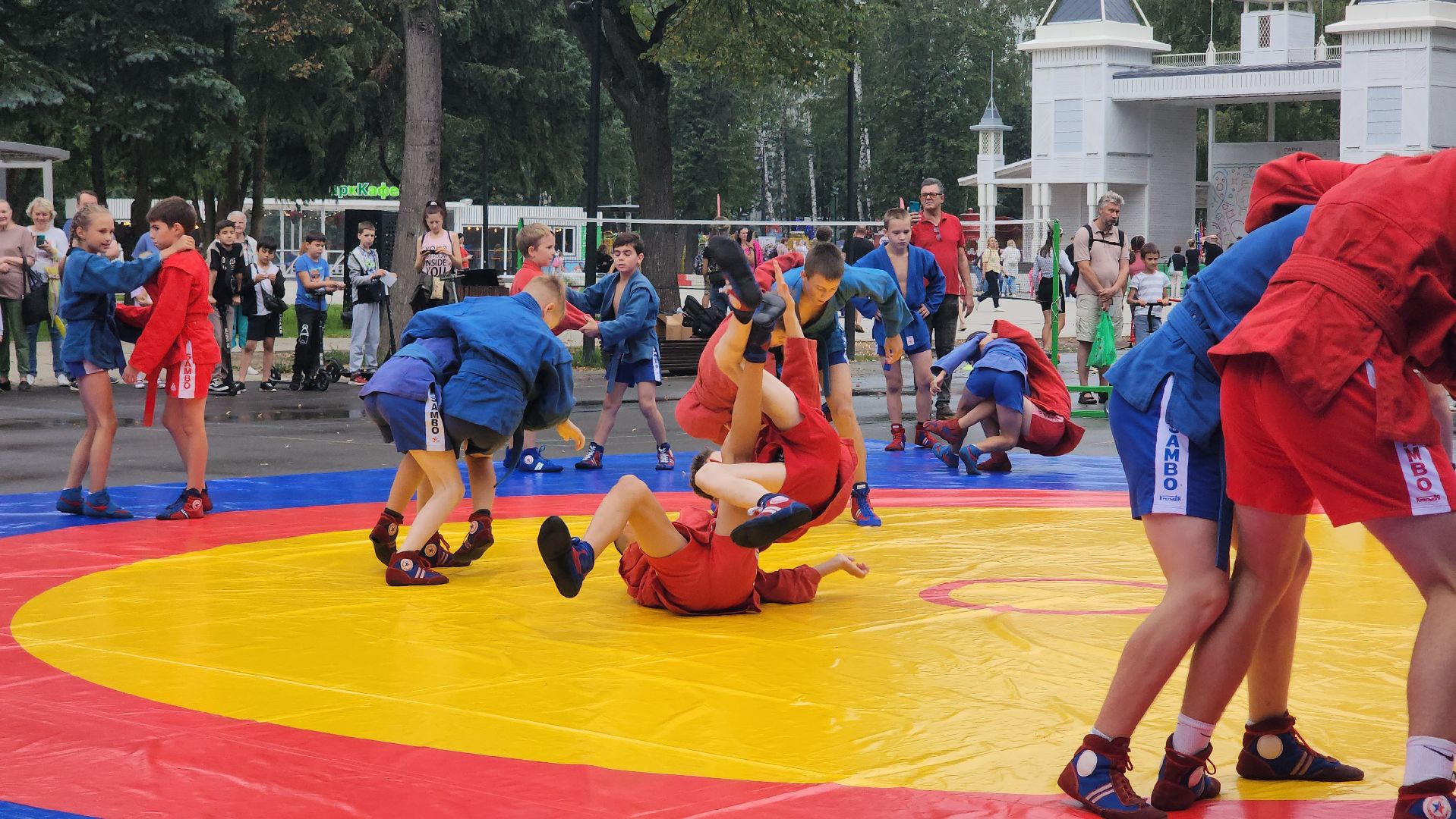 Пушкино, спорт, самбо, самбо 70, Zа самбо