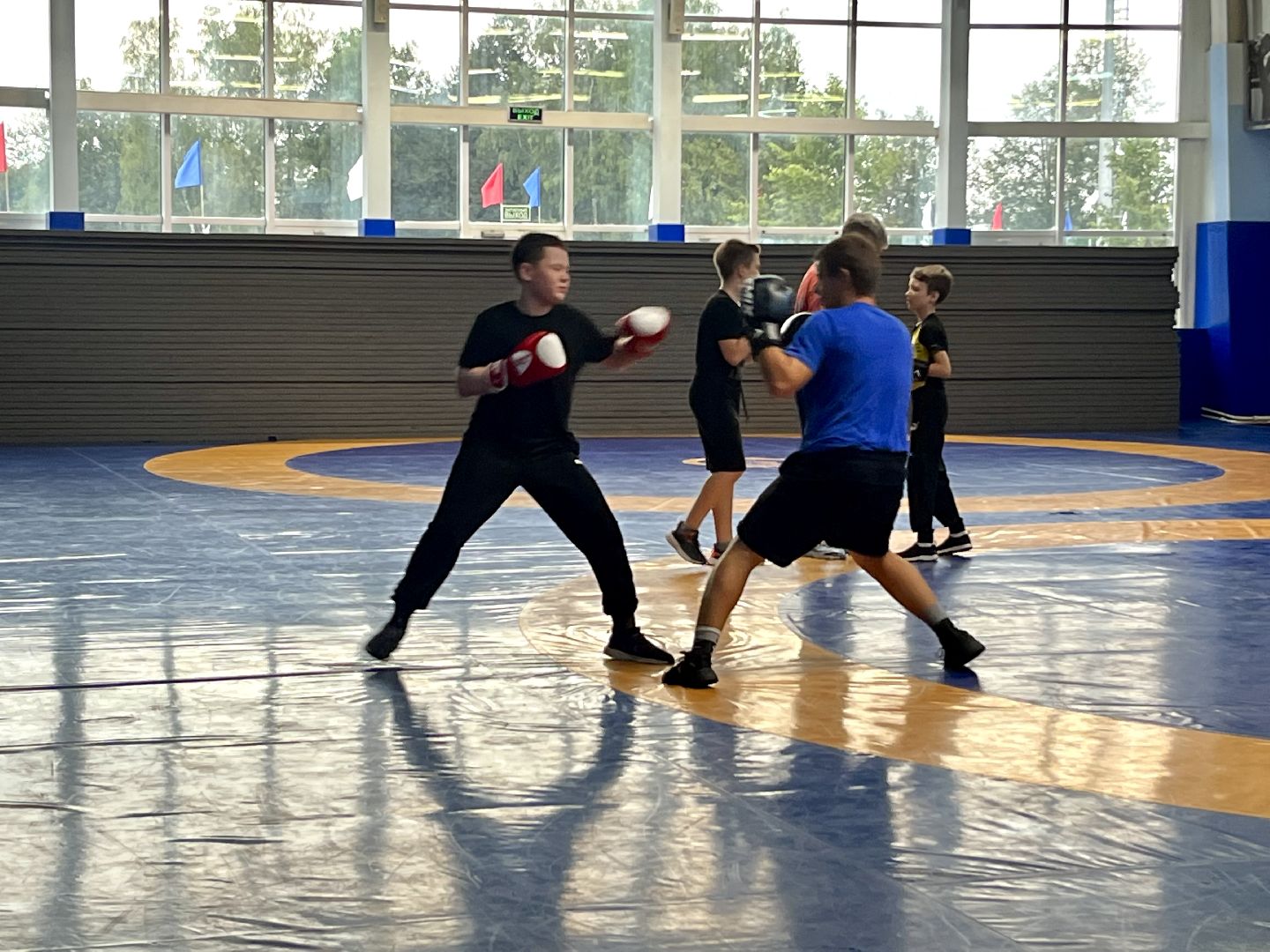 Наро-Фоминск, день физкультурника, спорт, спорт Подмосковья, каратэ, бокс, лёгкая атлетика