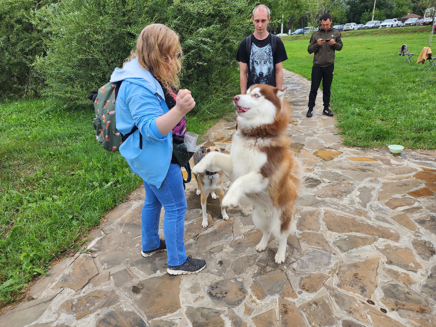 серпухов, принарский парк, день дворняжки, собаки, волонтеры, доброе дело,