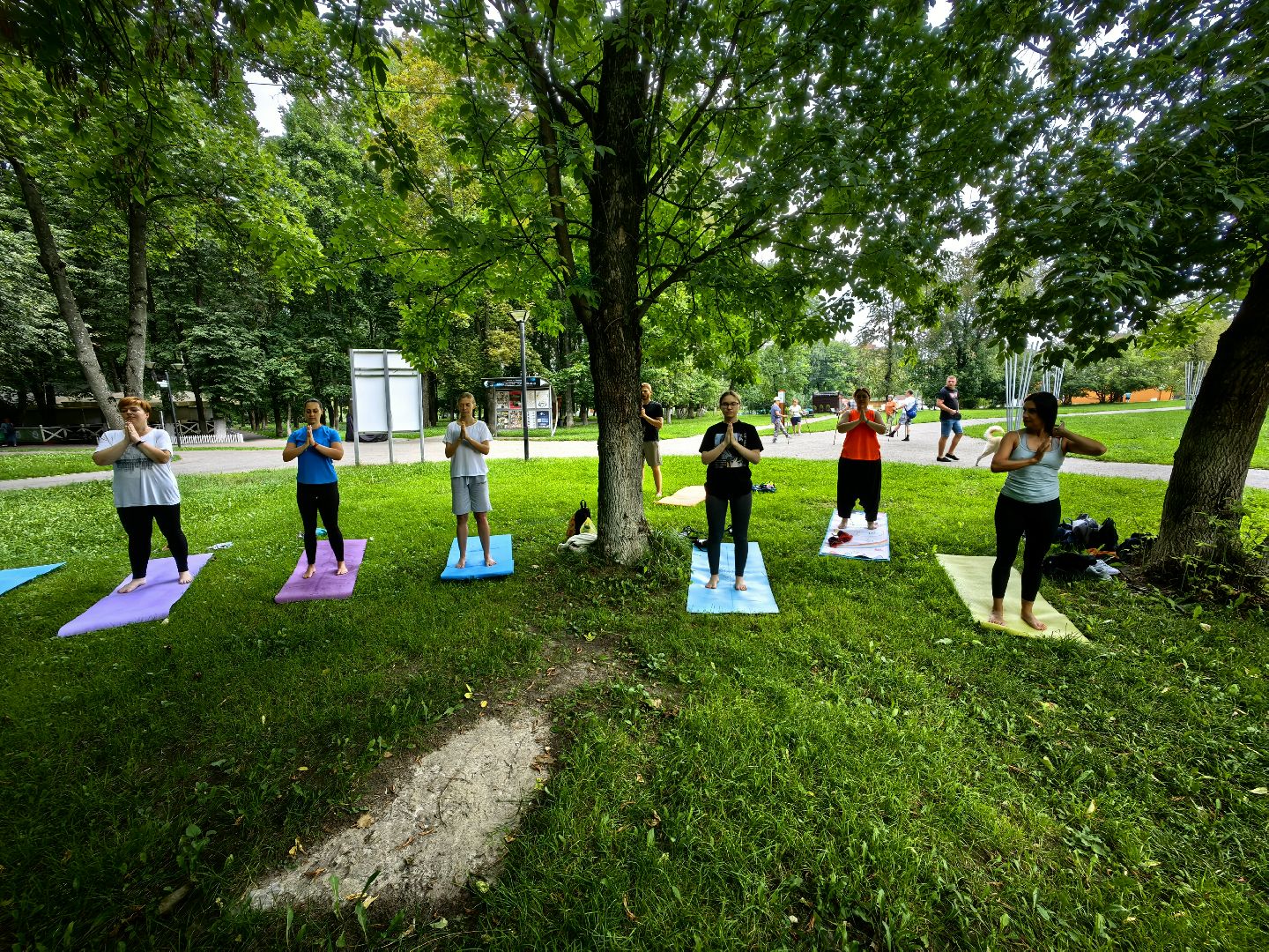 Йога, занятия, парк, площадка