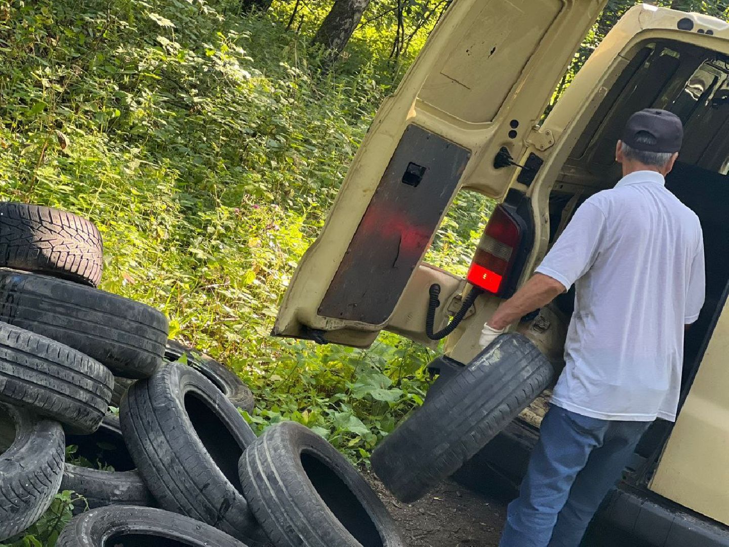 Вывоз покрышек, Мегабак, уборка в лесу, Котельники