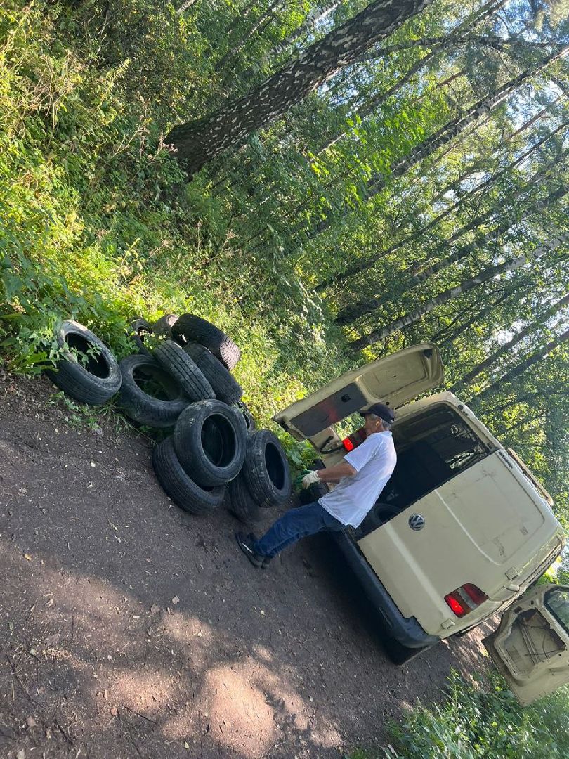 Вывоз покрышек, Мегабак, уборка в лесу, Котельники