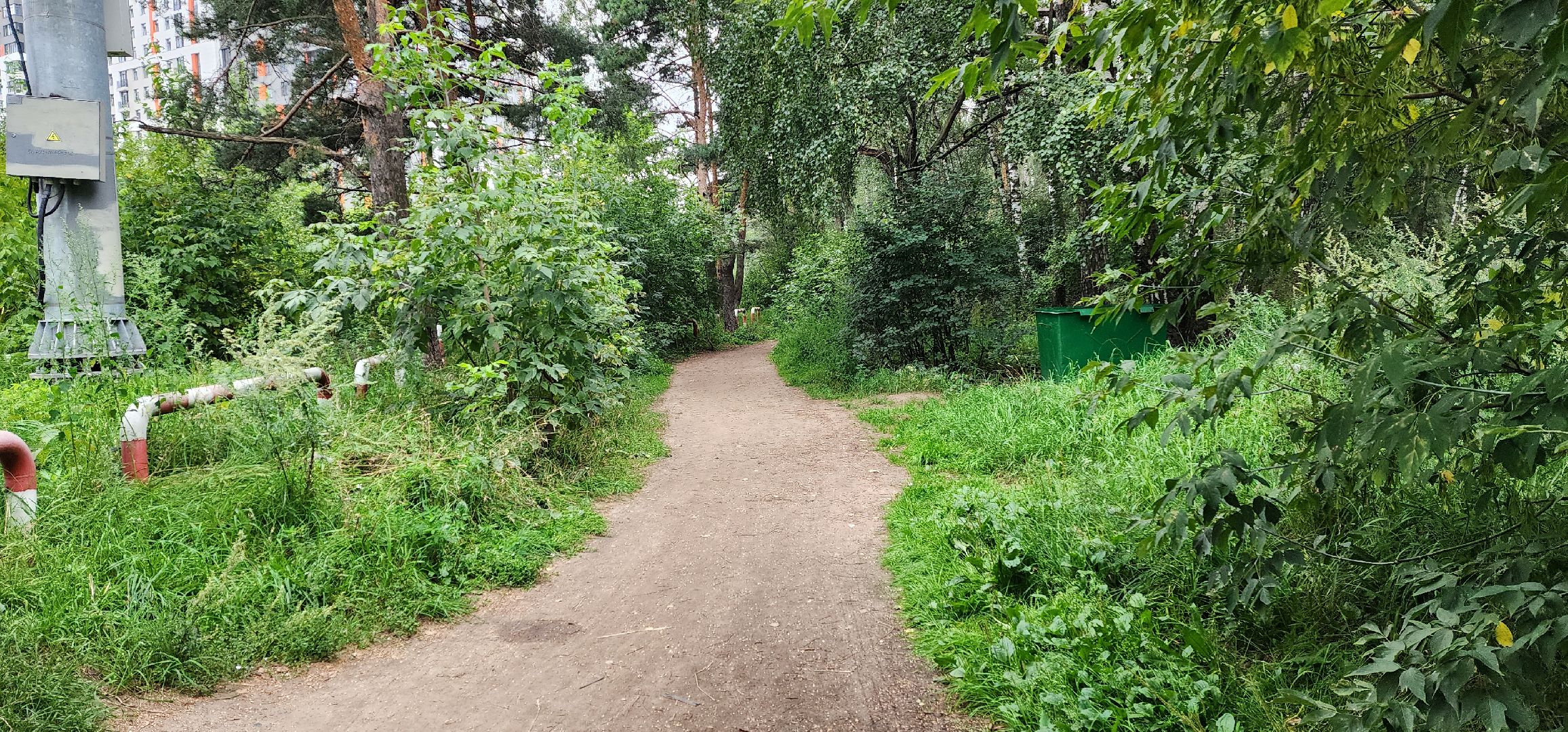 Вывоз покрышек, Мегабак, уборка в лесу, Котельники