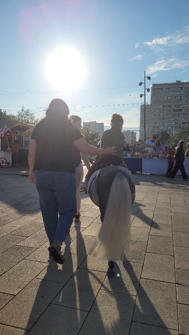 спорт; видное; праздник; тпп