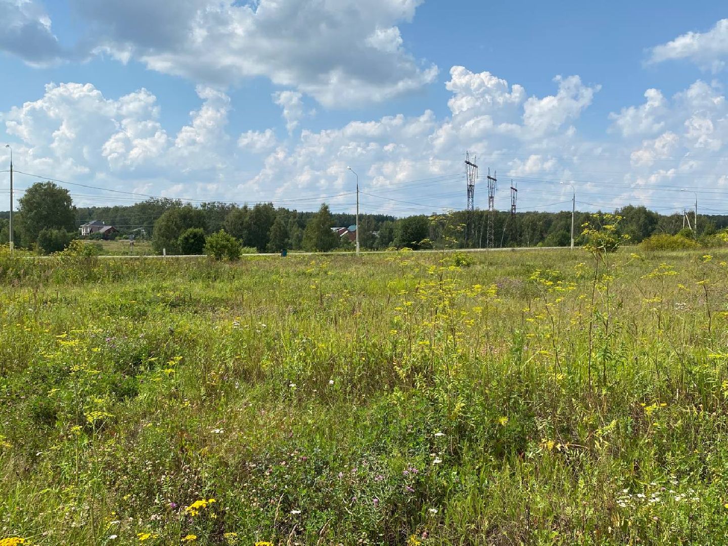 Чехов, медицина, программа, Земля врачам, губернатор, врач