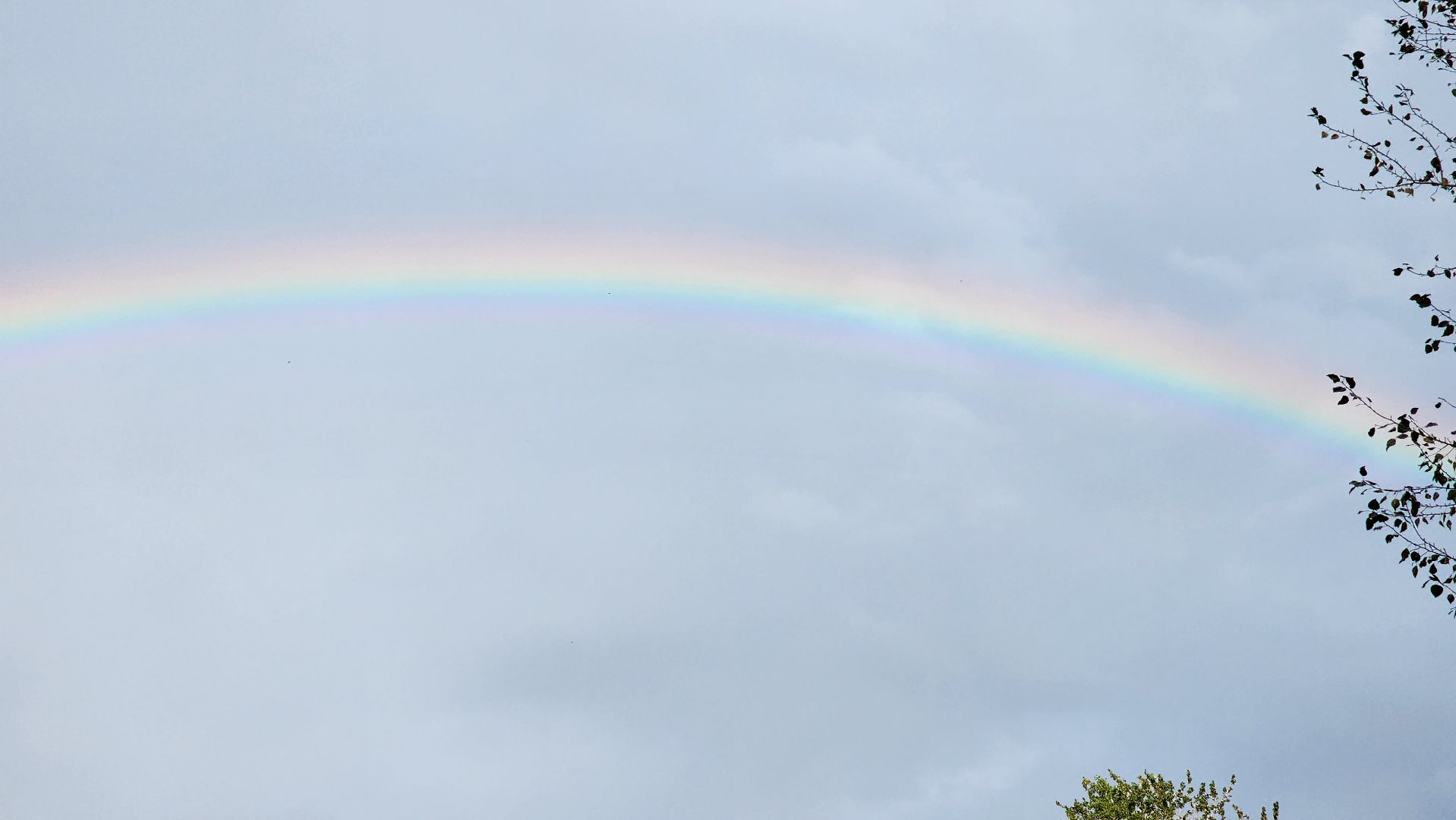 концерт, парки подмосковья, культура,