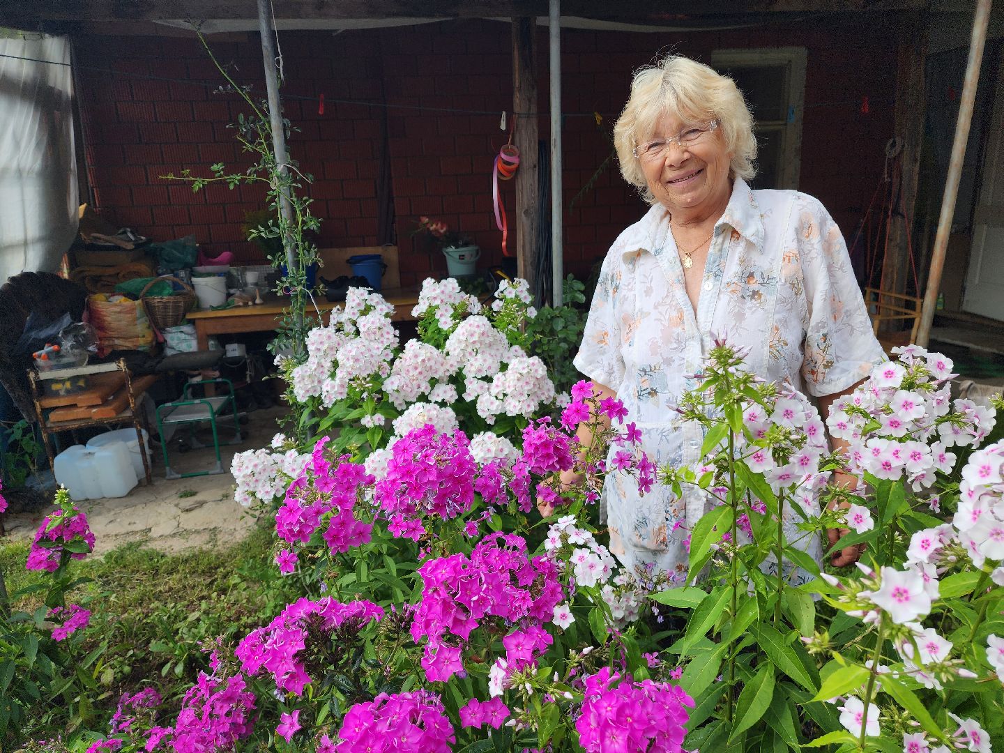 Красноармейск, Пушкинский, деревня, сад, огород, активное долголетие