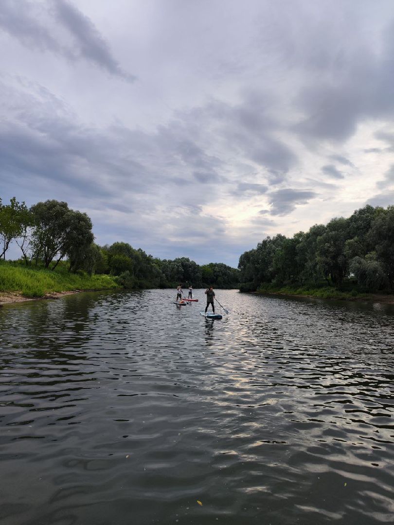 Пущино, экология, фламинго