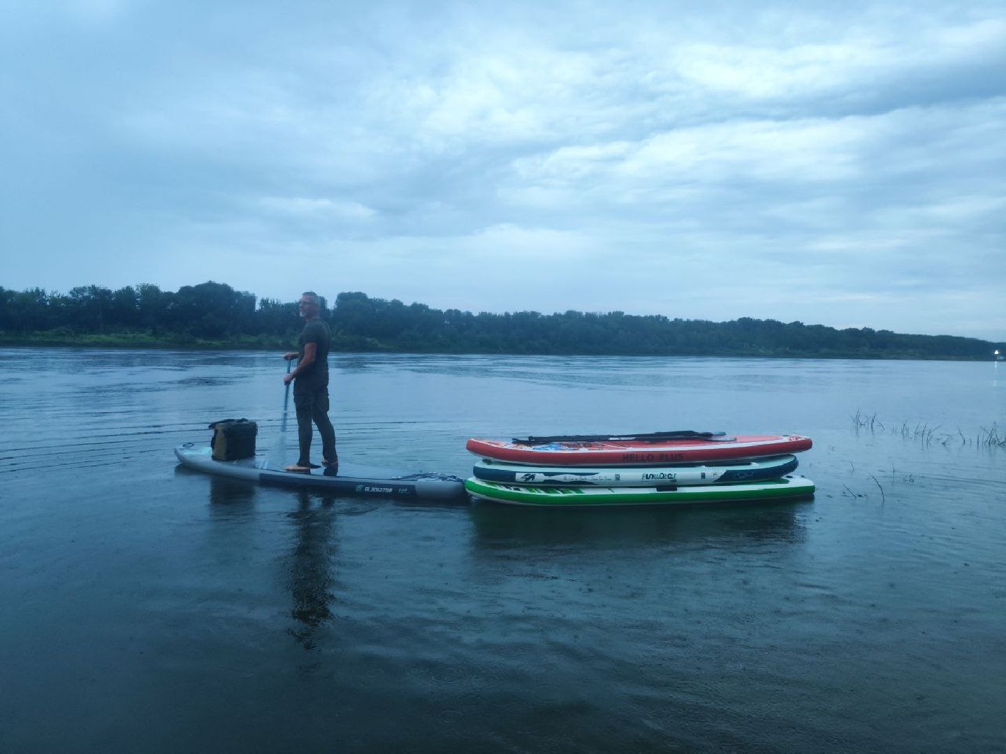 Пущино, экология, фламинго