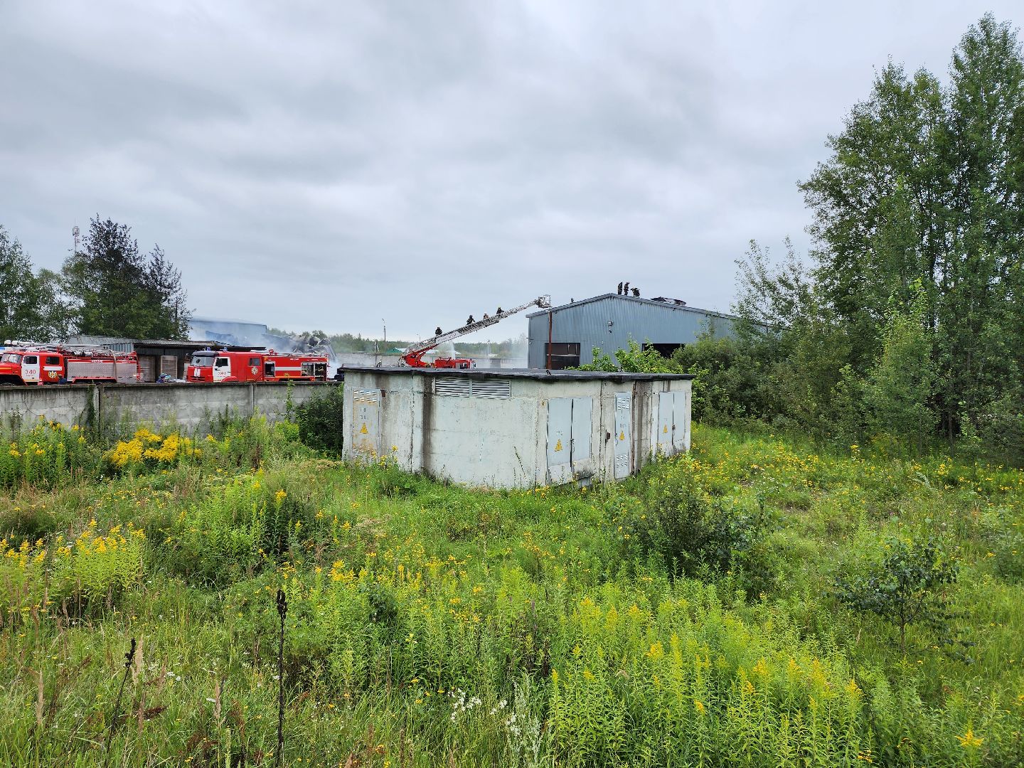 Раменское, ЧП, пожар на донинском шоссе, открытое горение ликвидировано